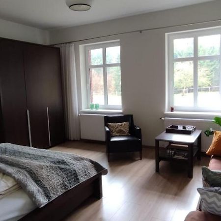 Appartement Zacisze Pod Bukami à Gornica Extérieur photo