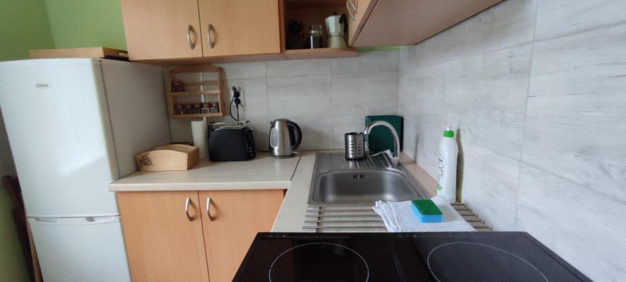 Appartement Zacisze Pod Bukami à Gornica Extérieur photo